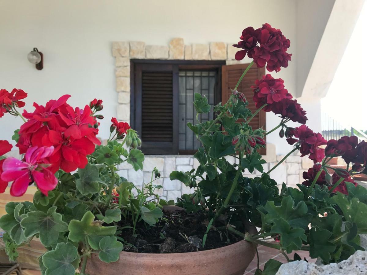 Villa Rosa - Ai Piedi Dell'Etna 布鲁克里 外观 照片
